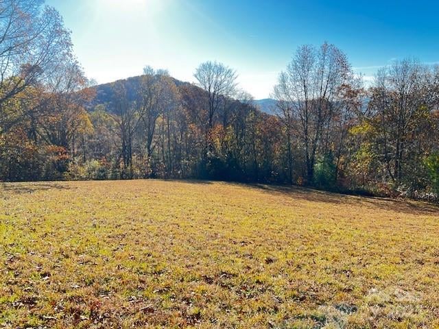Lot 117 Autumn Sky Dr, Hendersonville, NC 28792