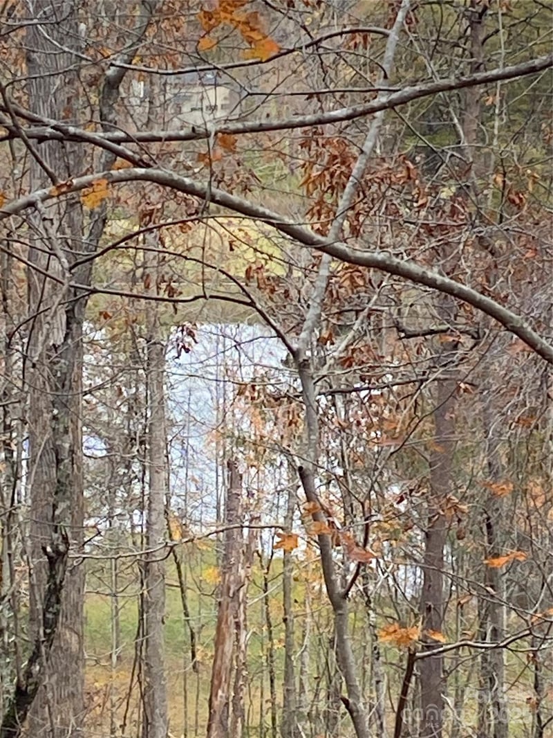 0000 Raleigh Dr #8 & 9, Lake Lure, NC 28761