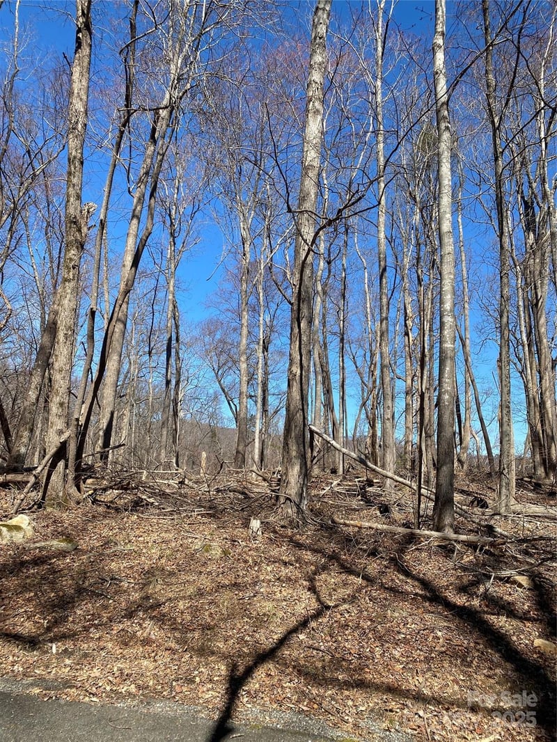 0000 Raleigh Dr #8 & 9, Lake Lure, NC 28761