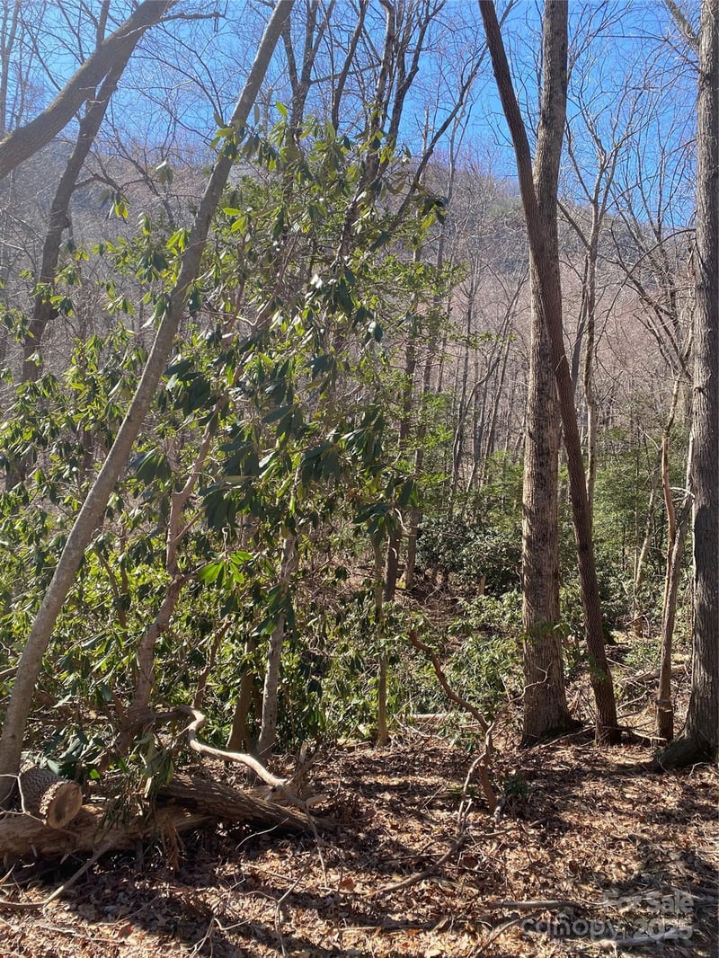 0000 Raleigh Dr #8 & 9, Lake Lure, NC 28761