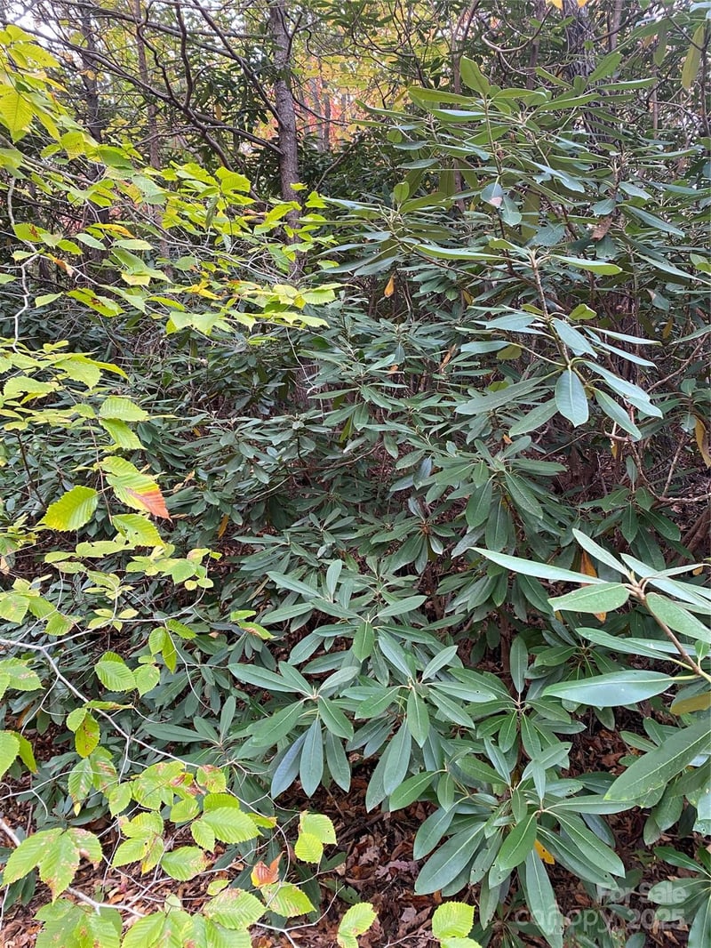 0000 Raleigh Dr #8 & 9, Lake Lure, NC 28761