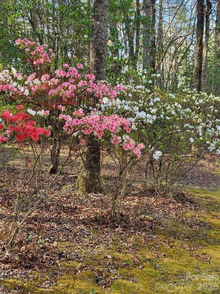 667 Pinewood Knoll Dr, Hendersonville, NC 28739