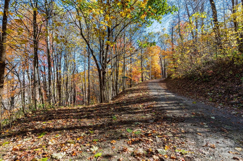 TBD Appaloosa Trl, Waynesville, NC 28785