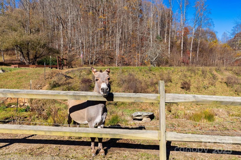 TBD Appaloosa Trl, Waynesville, NC 28785