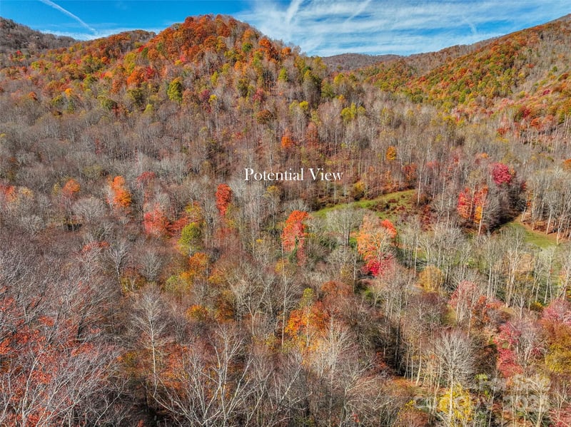 000 Pearl Way #12, Burnsville, NC 28714