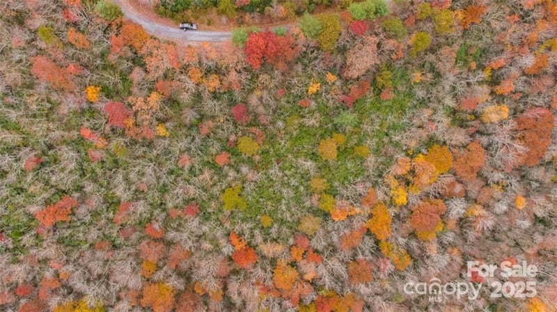 82 Davey Crockett Rd, Fairview, NC 28730