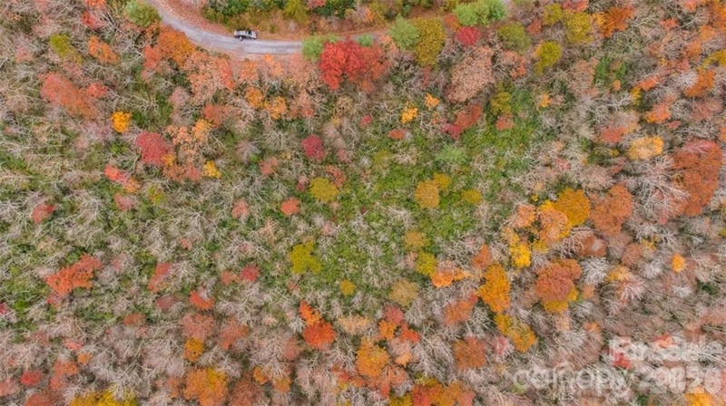 82 Davey Crockett Rd, Fairview, NC 28730
