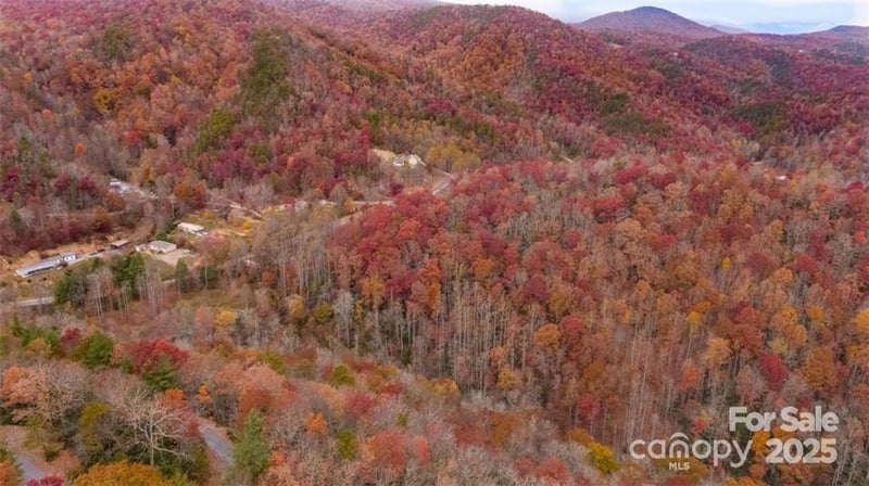 82 Davey Crockett Rd, Fairview, NC 28730
