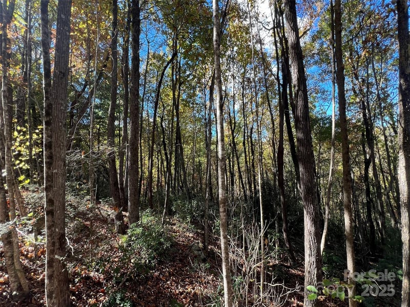 Wild Magnolia Way #46, Zirconia, NC 28790
