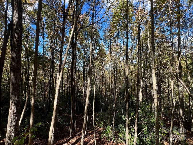 Wild Magnolia Way #46, Zirconia, NC 28790