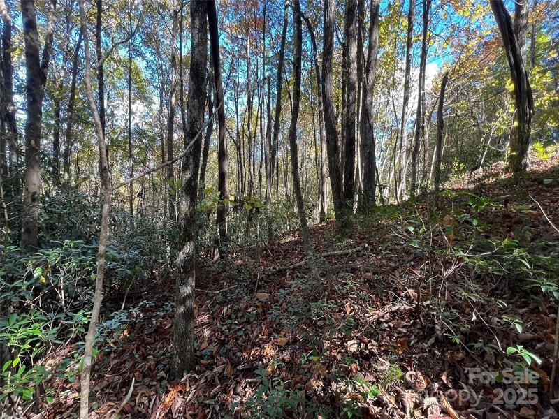 Wild Magnolia Way #46, Zirconia, NC 28790