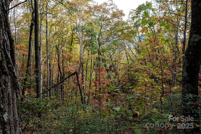 4B Lower Flat Creek Rd, Black Mountain, NC 28711