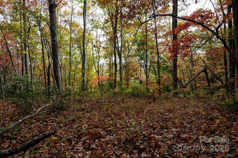 4B Lower Flat Creek Rd, Black Mountain, NC 28711