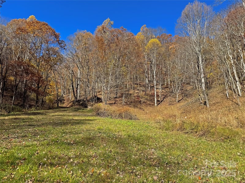 890 Panther Branch Rd, Hot Springs, NC 28743