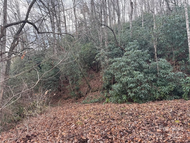 2664 Nc Hwy 9 Hw, Black Mountain, NC 28711