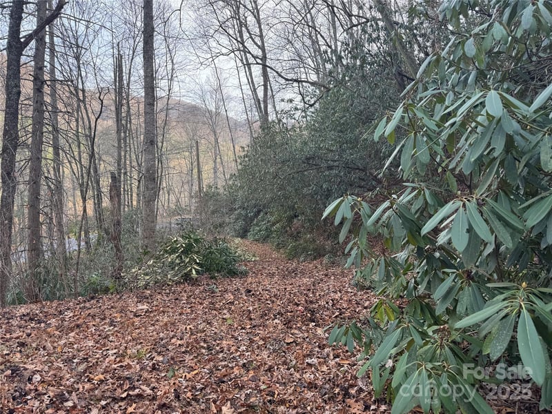 2664 Nc Hwy 9 Hw, Black Mountain, NC 28711