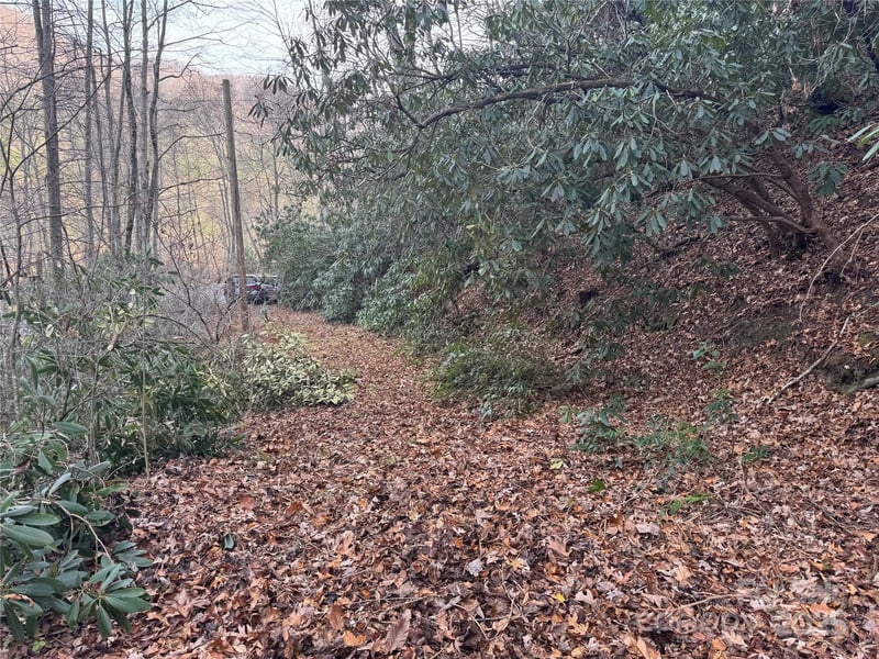 2664 Nc Hwy 9 Hw, Black Mountain, NC 28711
