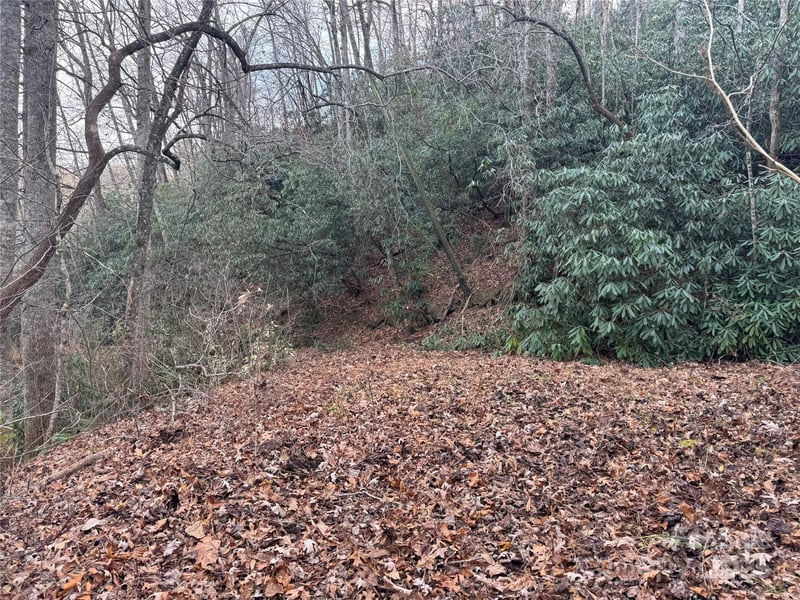 2664 Nc Hwy 9 Hw, Black Mountain, NC 28711