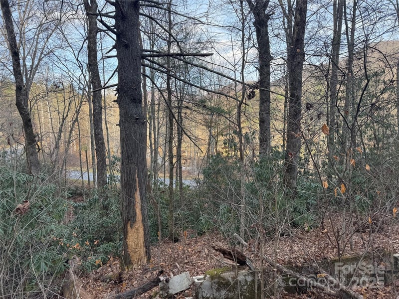 2664 Nc Hwy 9 Hw, Black Mountain, NC 28711