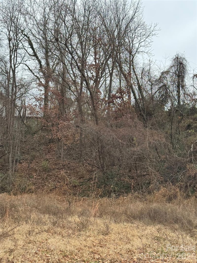 17 Green St, Asheville, NC 28801