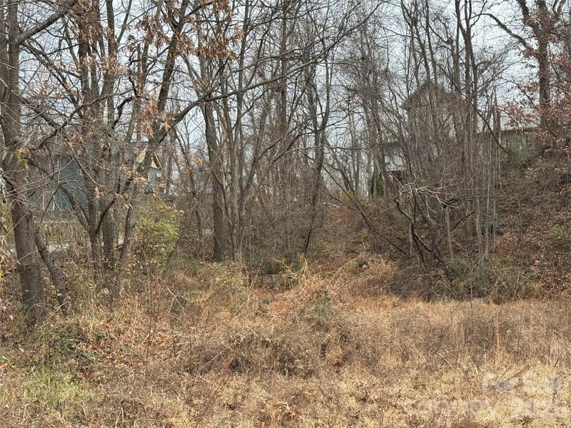 5 Green St, Asheville, NC 28801