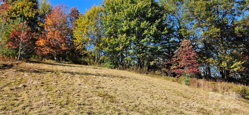 Clarktown Rd, Newland, NC 28657