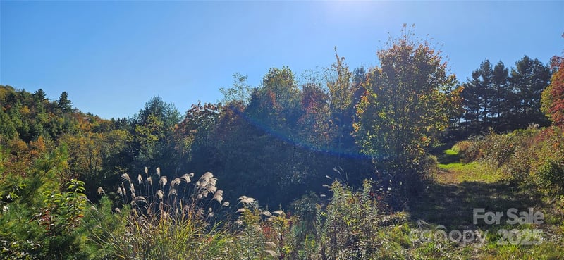 Clarktown Rd, Newland, NC 28657