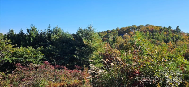 Clarktown Rd, Newland, NC 28657