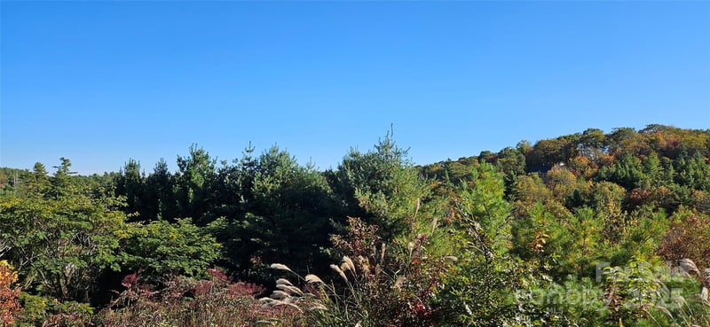 Clarktown Rd, Newland, NC 28657
