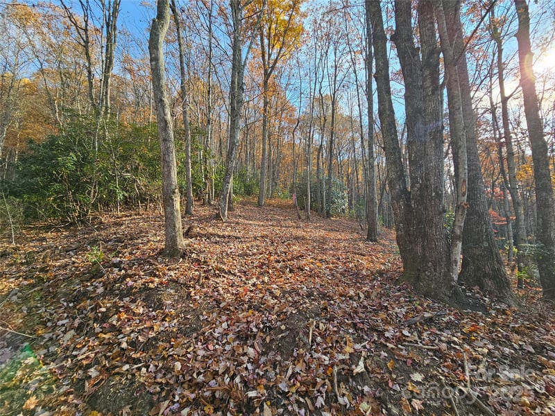 9999-12 Bob Barnwell Rd, Asheville, NC 28803