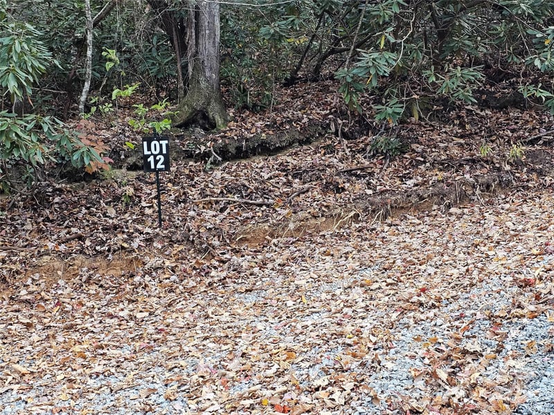 9999-12 Bob Barnwell Rd, Asheville, NC 28803