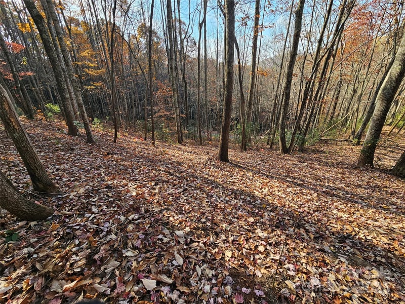 9999-12 Bob Barnwell Rd, Asheville, NC 28803