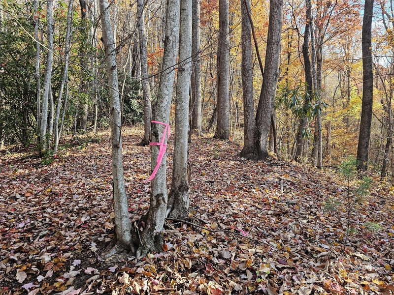 9999-13 Bob Barnwell Rd, Asheville, NC 28803