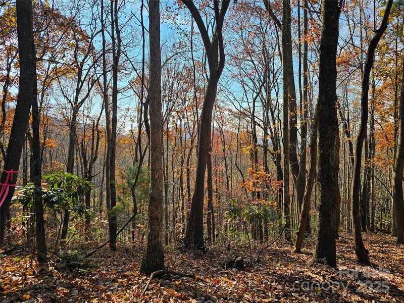 9999-13 Bob Barnwell Rd, Asheville, NC 28803