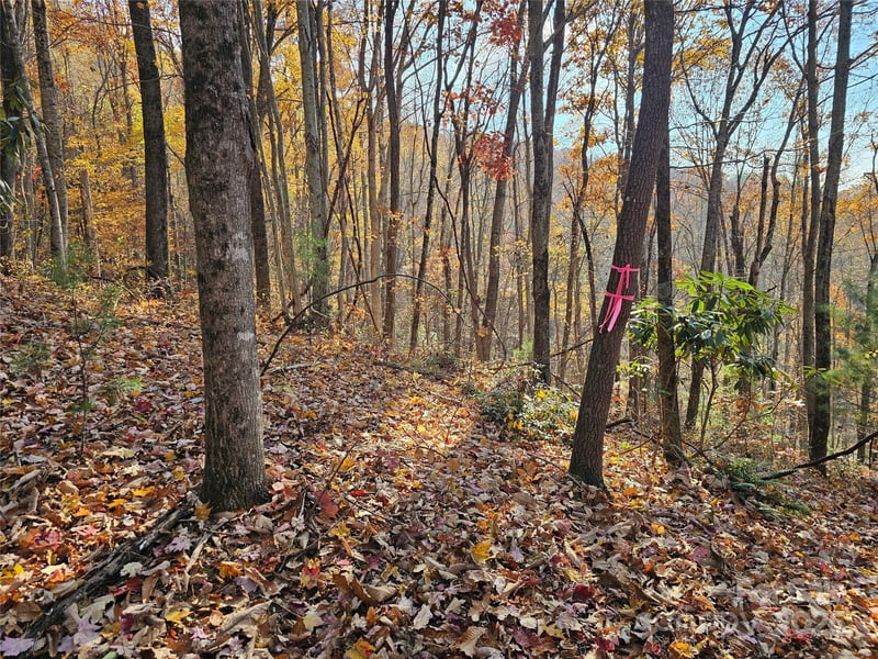 9999-13 Bob Barnwell Rd, Asheville, NC 28803