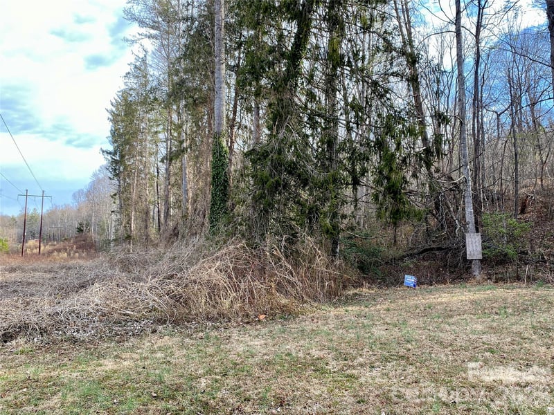 99999 Willow Creek Dr #2, Asheville, NC 28803