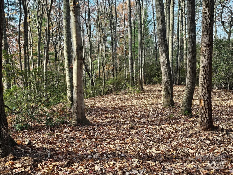 9999-16 Bob Barnwell Rd, Asheville, NC 28803