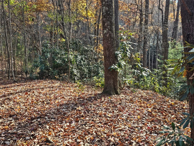 9999-16 Bob Barnwell Rd, Asheville, NC 28803