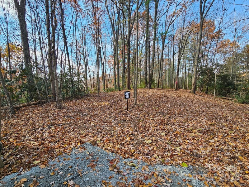 9999-16 Bob Barnwell Rd, Asheville, NC 28803