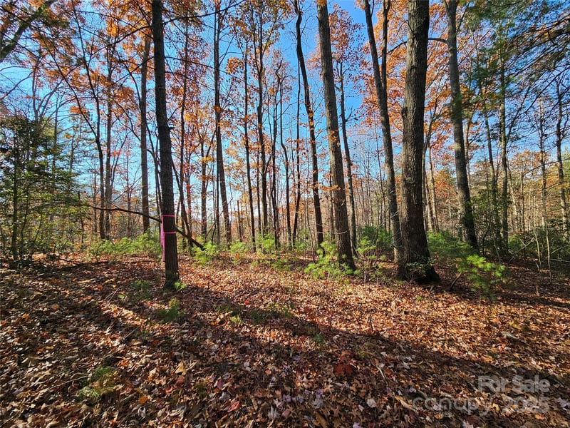 9999-17 Bob Barnwell Rd, Asheville, NC 28803