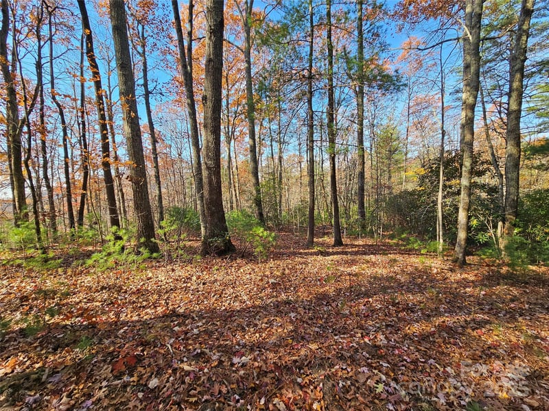 9999-17 Bob Barnwell Rd, Asheville, NC 28803