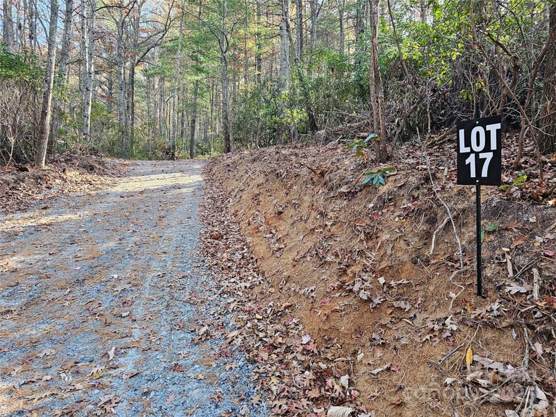 9999-17 Bob Barnwell Rd, Asheville, NC 28803