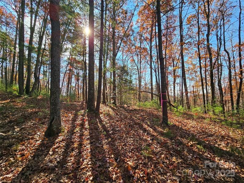 9999-17 Bob Barnwell Rd, Asheville, NC 28803