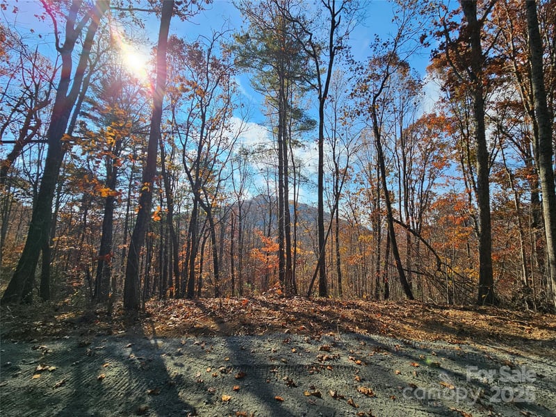 9999-18 Bob Barnwell Rd, Asheville, NC 28803