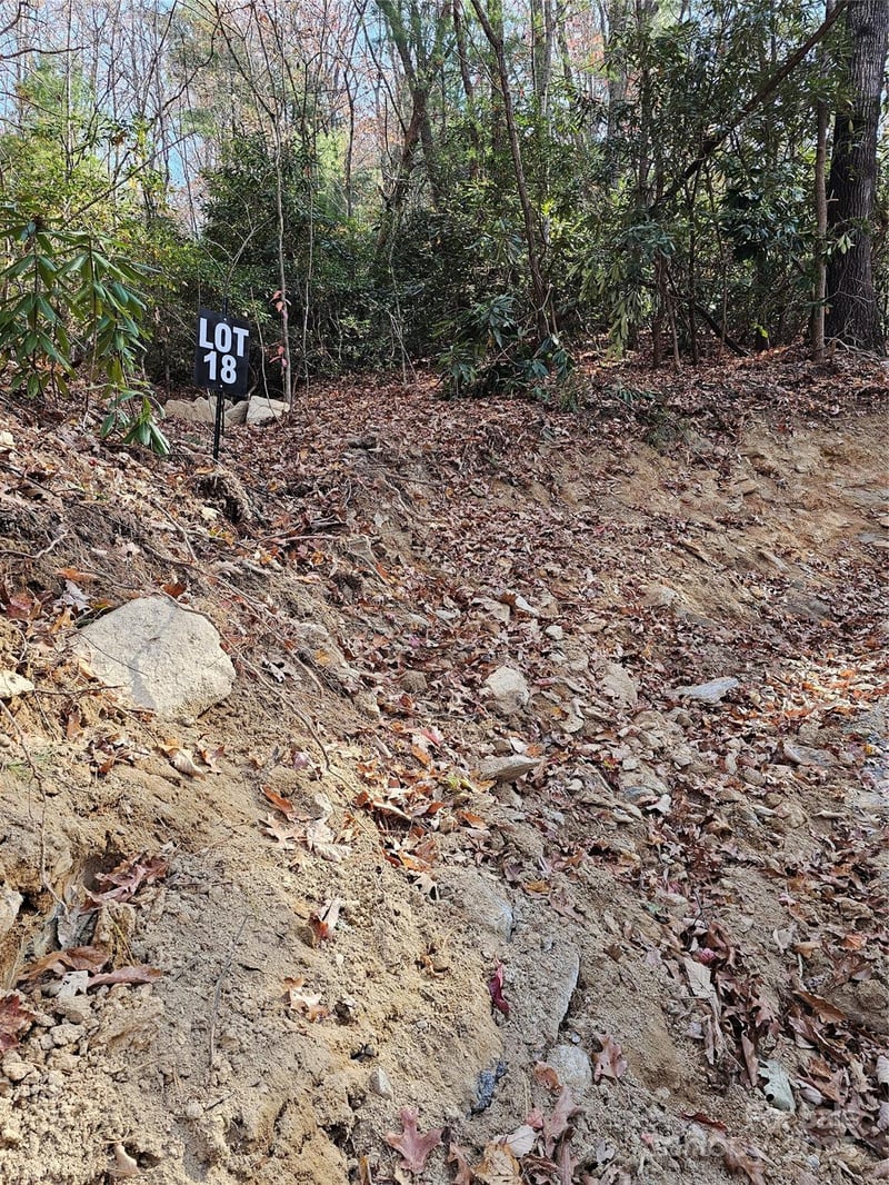 9999-18 Bob Barnwell Rd, Asheville, NC 28803