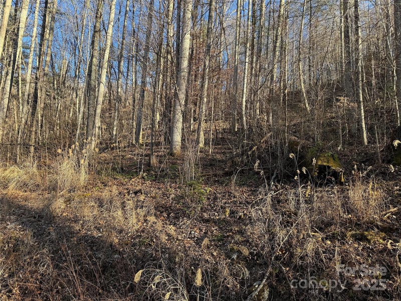 TBD Timberside Dr, Mars Hill, NC 28754