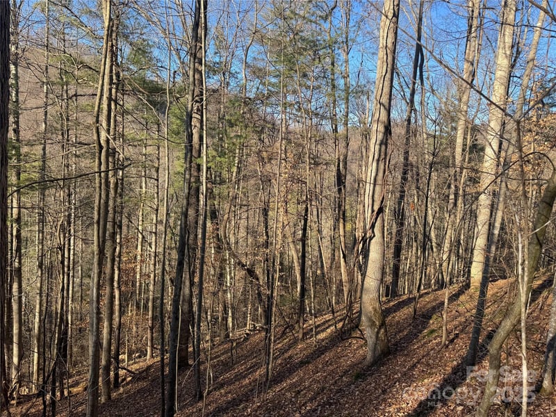 TBD Timberside Dr, Mars Hill, NC 28754