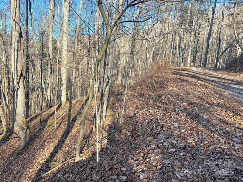 TBD Timberside Dr, Mars Hill, NC 28754