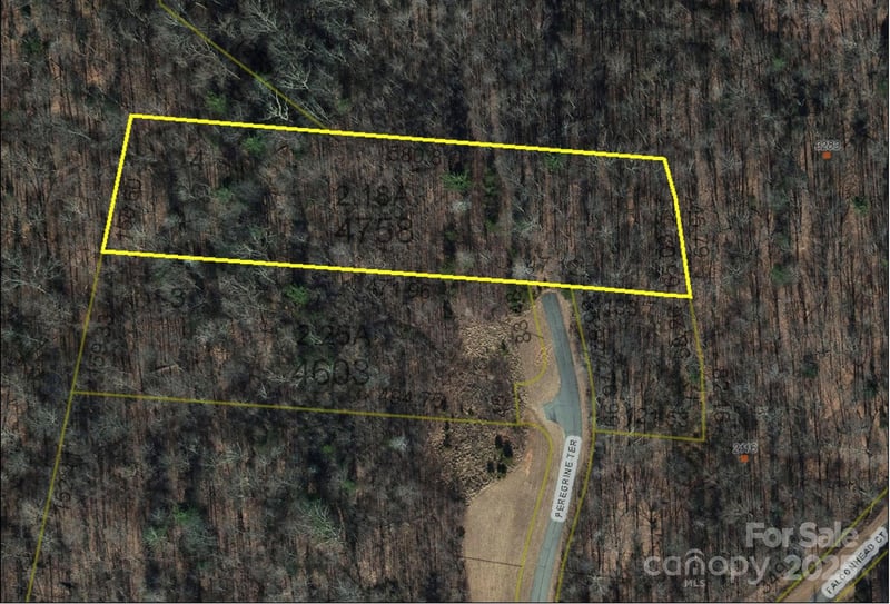 Peregrine Ter #4, Lenoir, NC 28645