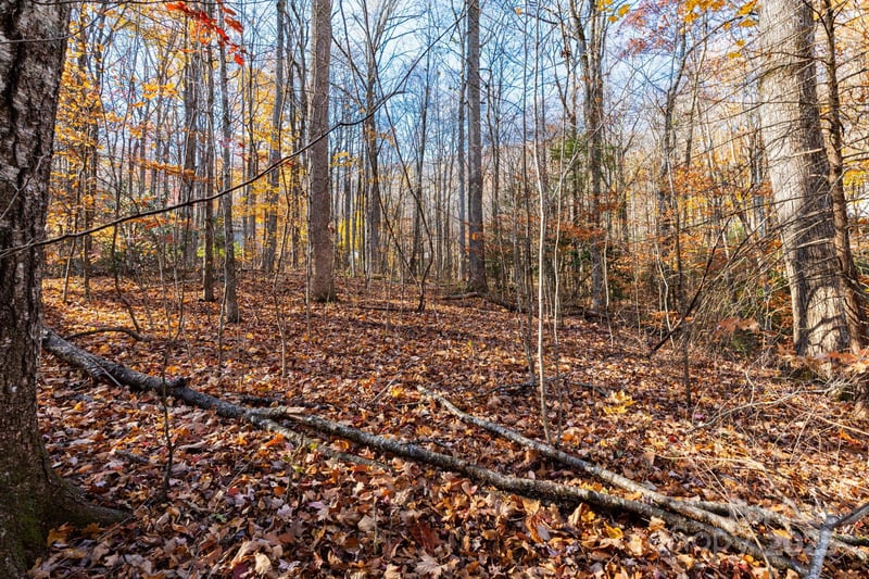 Lot 62 Twinbrook Ln, Maggie Valley, NC 28751